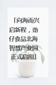 向海而兴启新程，劲仔食品北海智慧产业园正式启用
